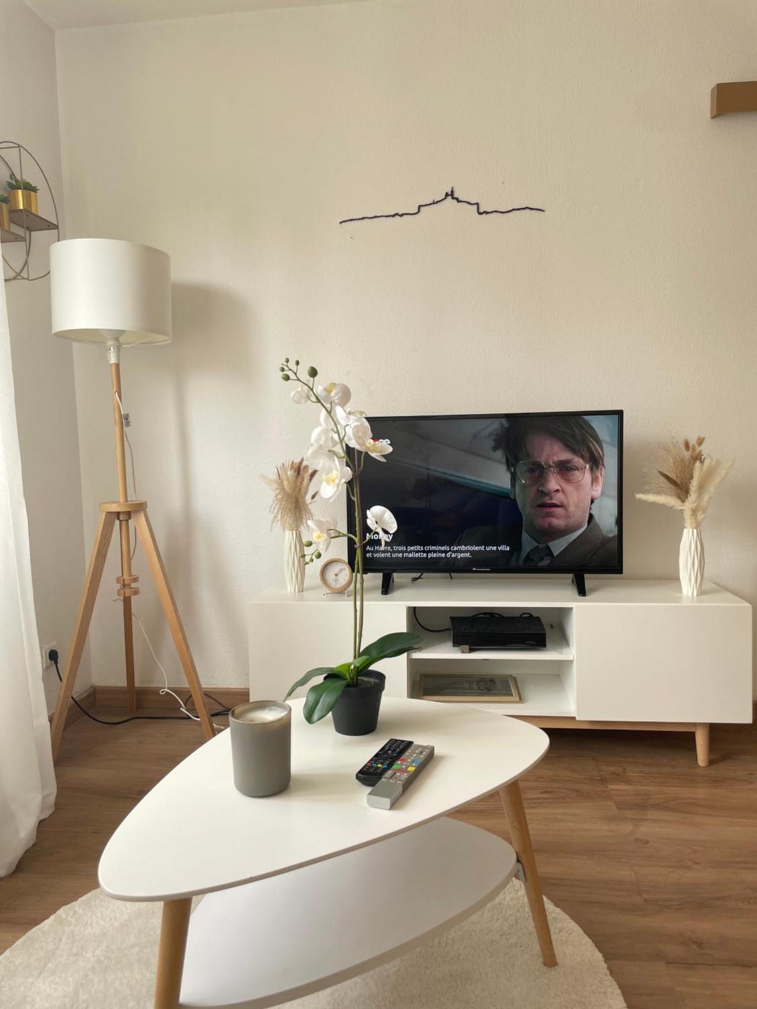 Massilia Mood ,centre, Stade Velodrome, La Timone, La Conception , Wifi Gratuite Marseille