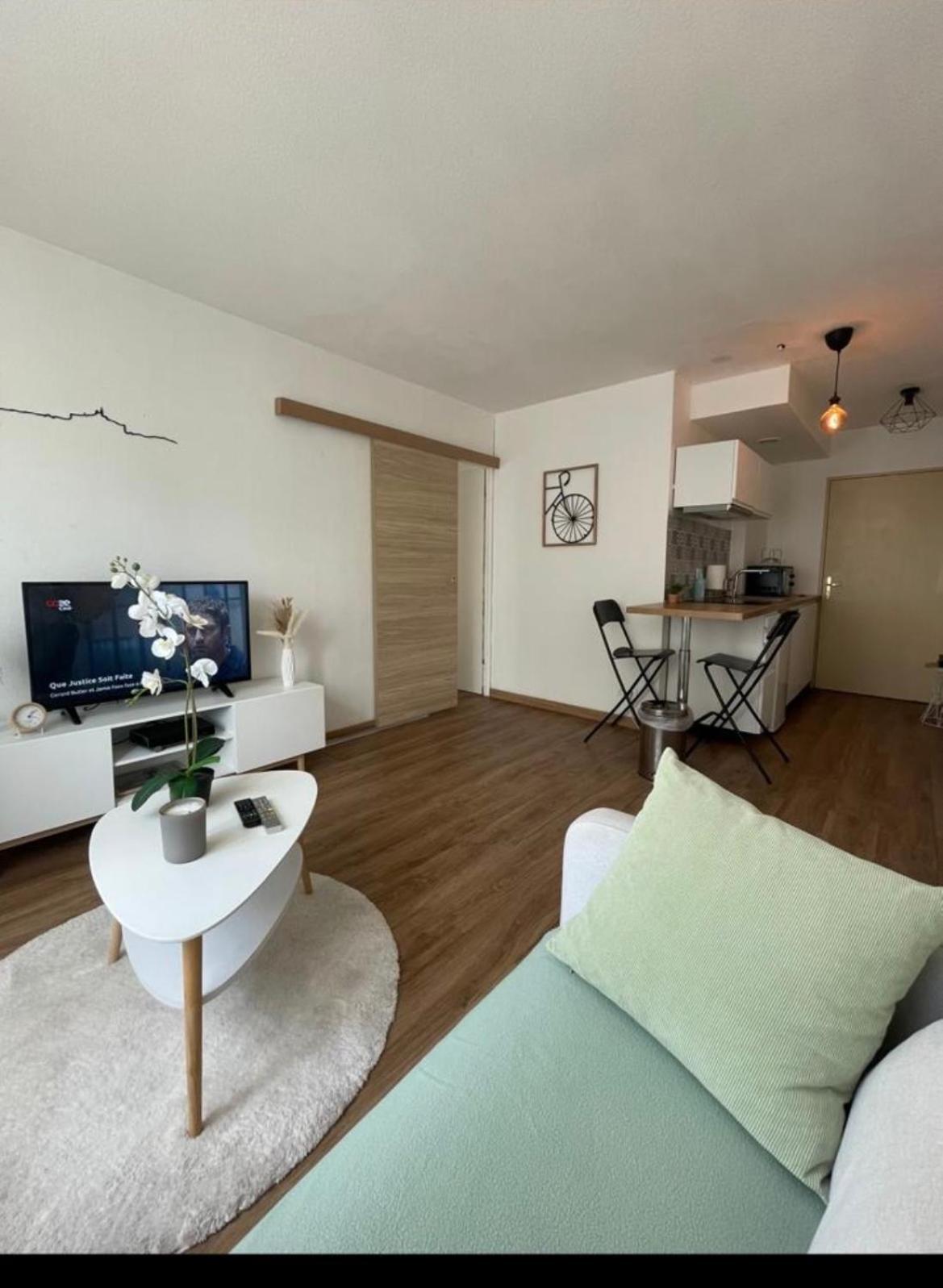 Appartement Massilia Mood ,centre, Stade Velodrome, La Timone, La Conception , Wifi Gratuite